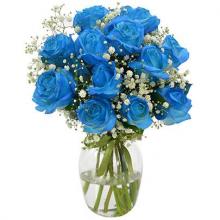 Sky is Blue